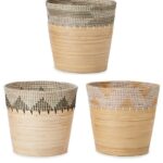 アルマ コニック M 42 - カラー