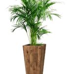 アレカヤシ 8号 リサイクルウッド スクエアトール (樹脂インナー付) M 75