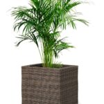 アレカヤシ 8号 ウィッカーポット キューブ (NTタイプ) M 41 - カラー