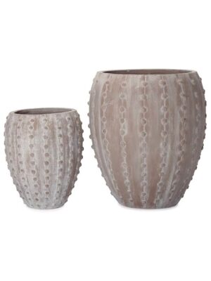 コーテス ジャー エキノス M 46