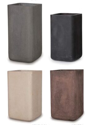 ドラセナ・マッサンゲアナ（幸福の木） 8号 コーテス タワー M 60 - カラー