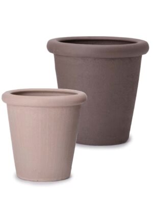 コントンポット ダムキナ M 15 - カラー