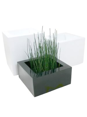 ローボックス600 - カラー