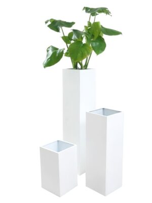 リトルスクエア-340 - カラー