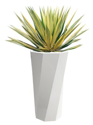 スパイラル - カラー